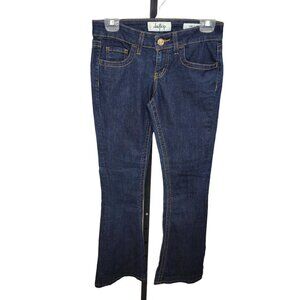 Daytrip Lynx Flare Leg  Jeans
